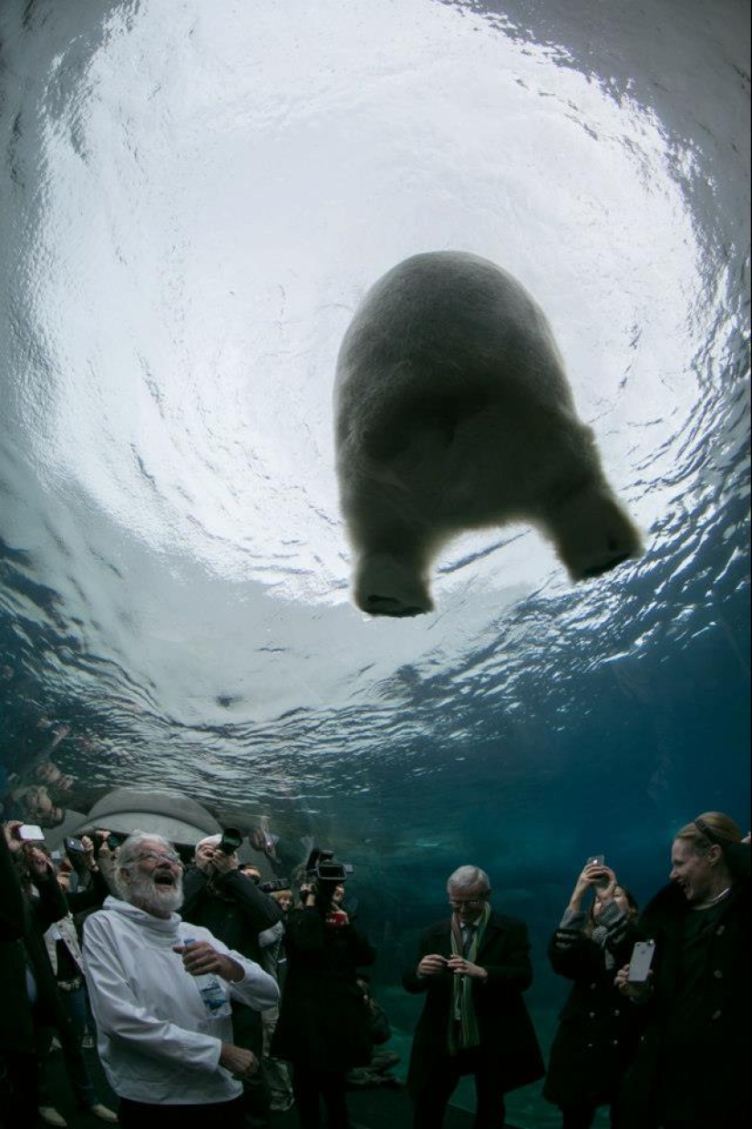 30 people who found friends at the zoo