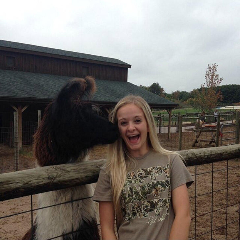 30 people who found friends at the zoo