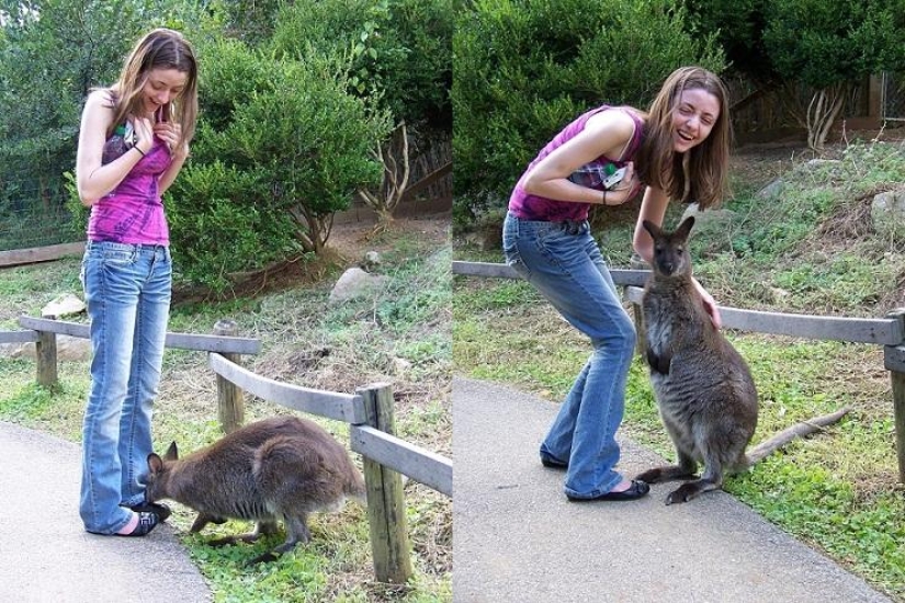 30 people who found friends at the zoo