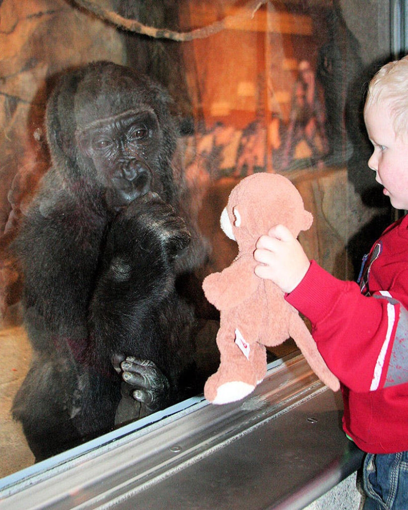 30 people who found friends at the zoo