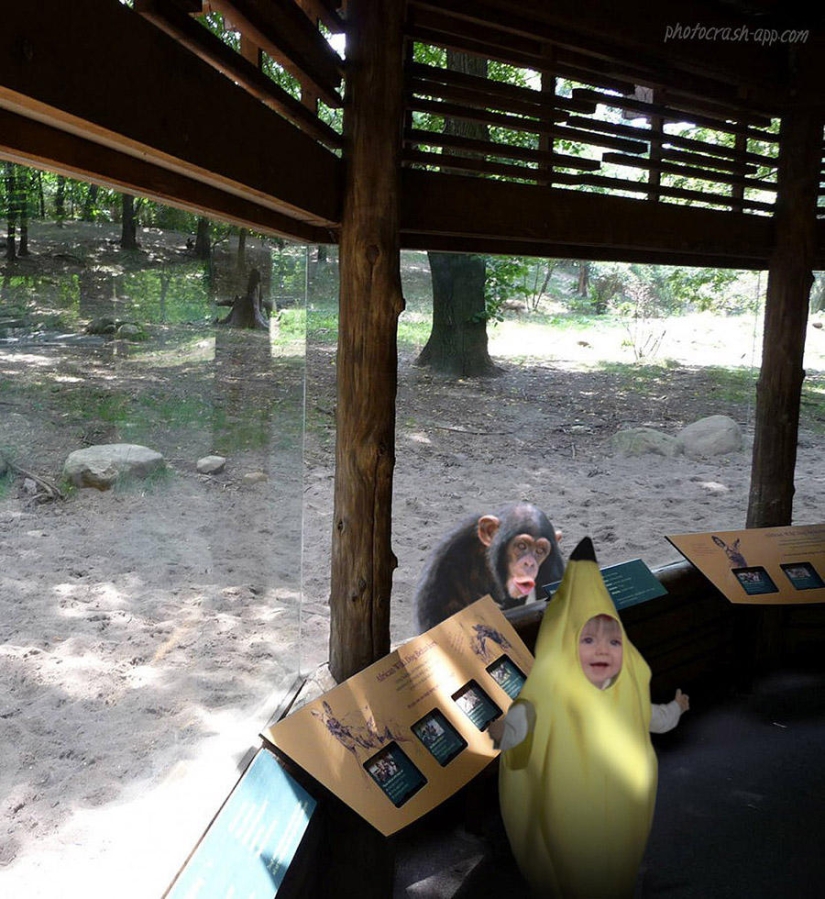 30 people who found friends at the zoo