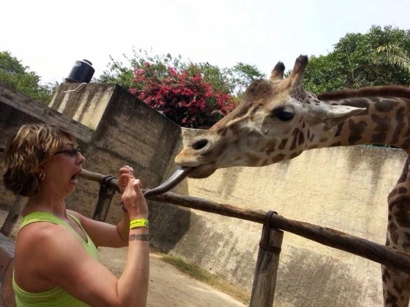 30 people who found friends at the zoo