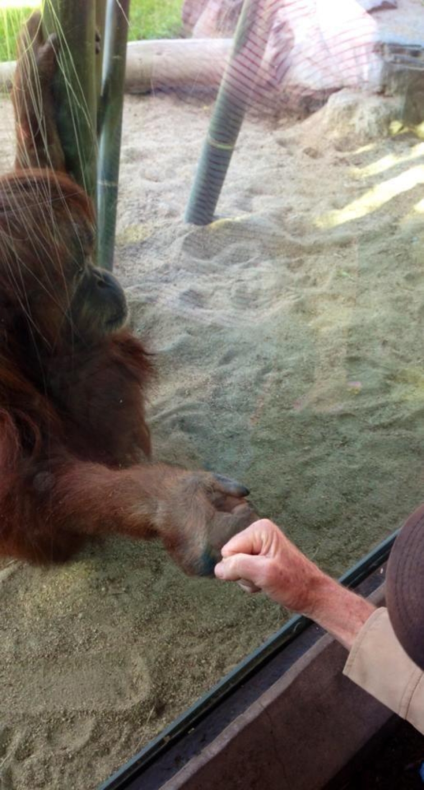 30 personas que encontraron amigos en el zoológico