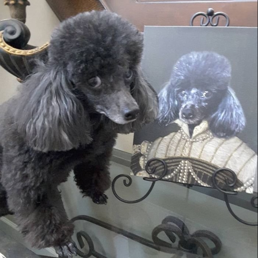 30 Pets with their portraits in the style of bygone eras