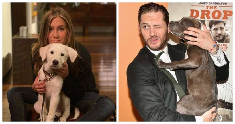 30 photos of celebrities with dogs