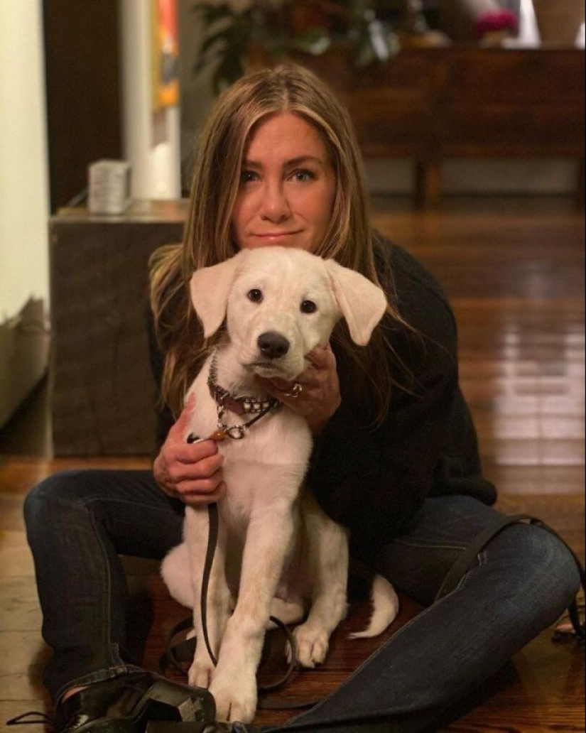 30 photos of celebrities with dogs