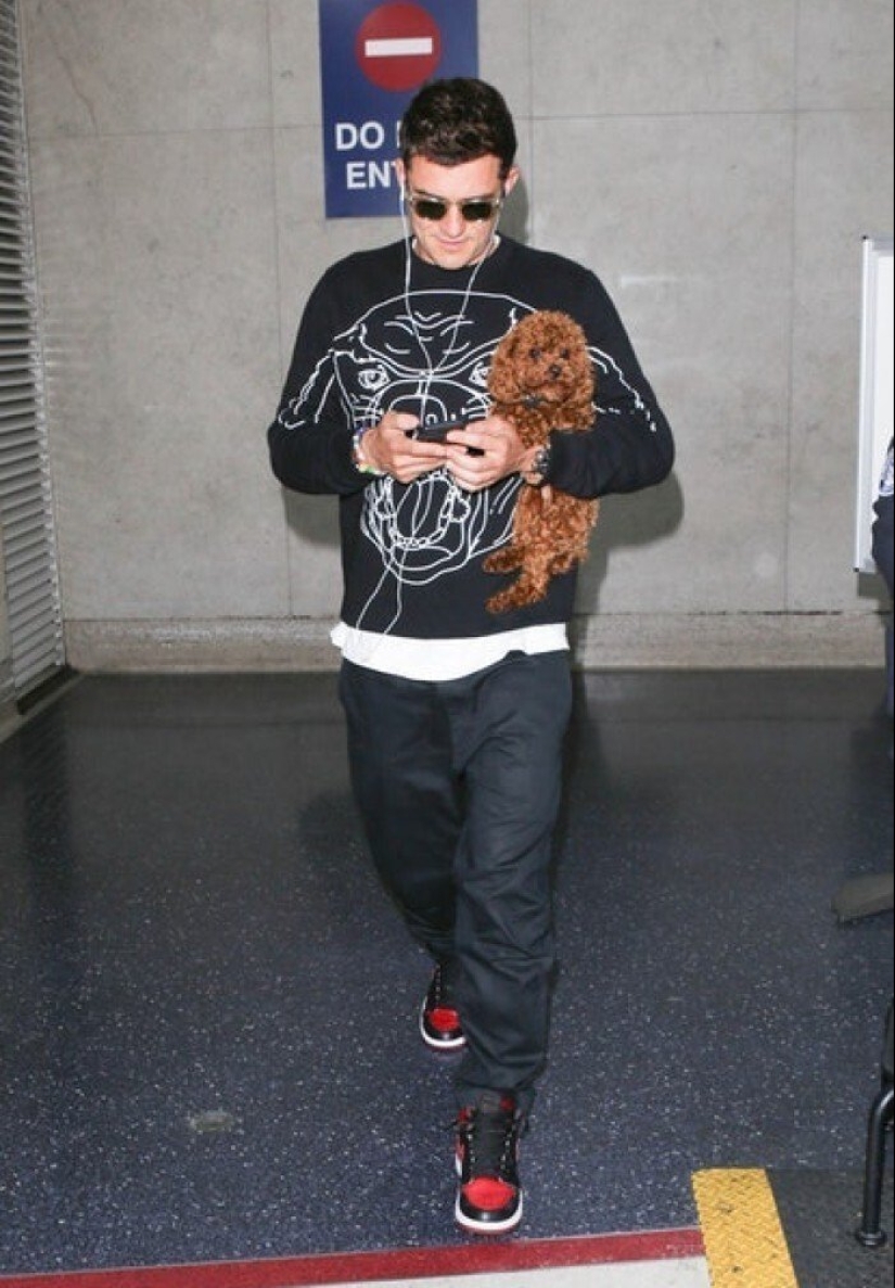 30 photos of celebrities with dogs