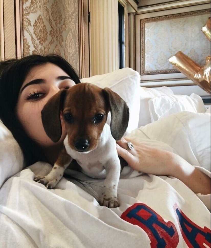 30 photos of celebrities with dogs