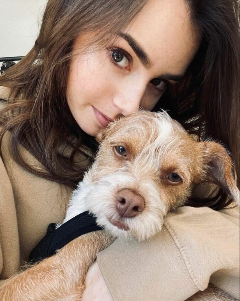 30 photos of celebrities with dogs