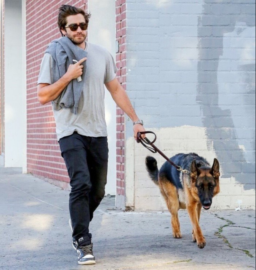 30 photos of celebrities with dogs