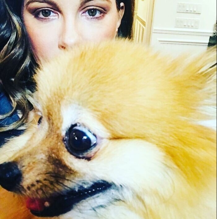 30 photos of celebrities with dogs