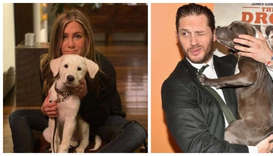 30 photos of celebrities with dogs