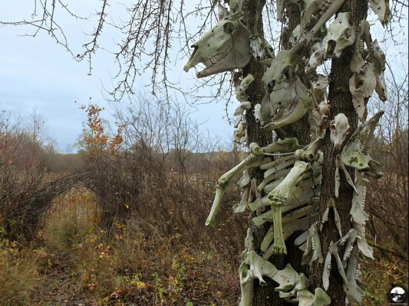 30 Real-Life Places That Seem Too Surreal To Exist