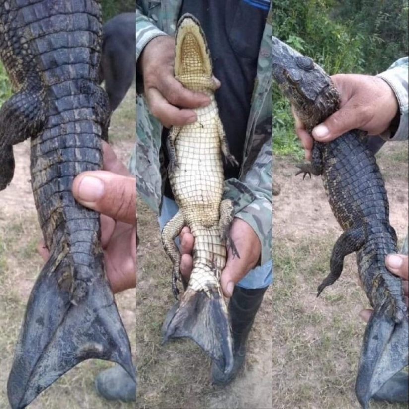 30 sorprendentes hallazgos creados por la naturaleza y las personas