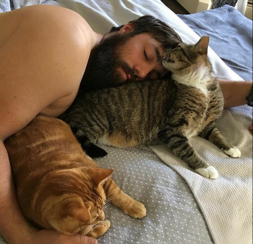 30 tocar las fotos de los hombres y los gatos