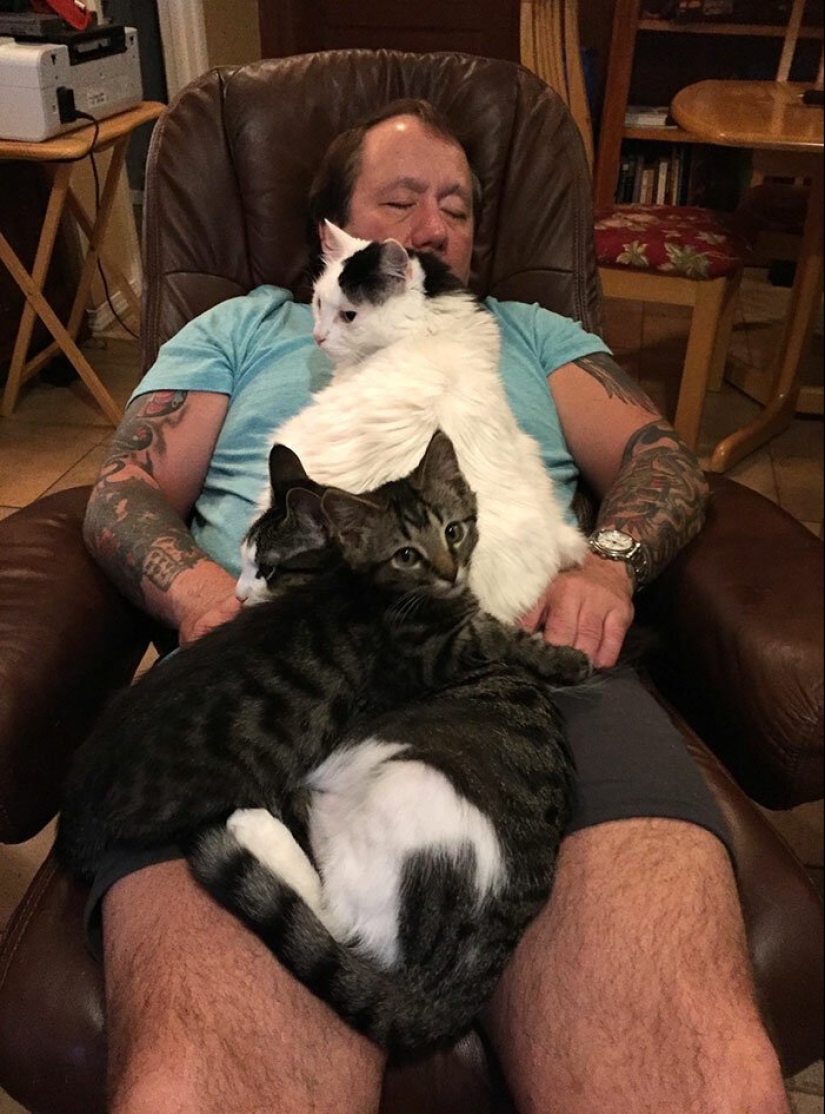 30 tocar las fotos de los hombres y los gatos