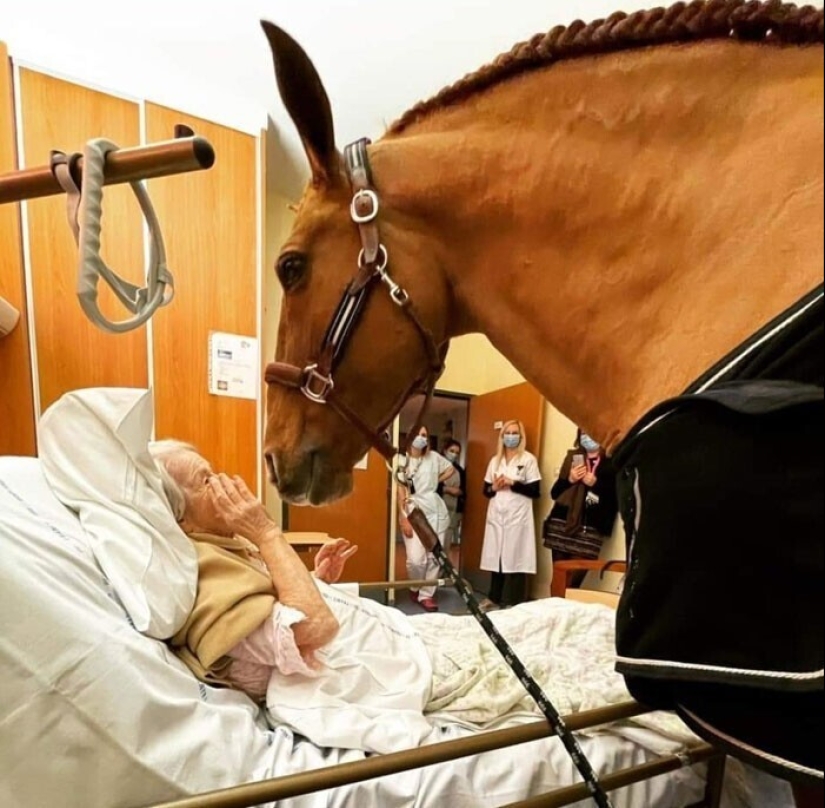 30 touching photo stories that will definitely restore your faith in humanity