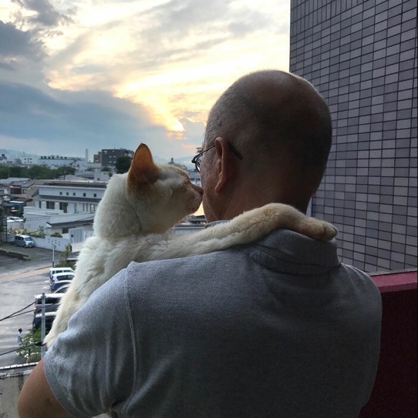 30 touching photos of men and cats