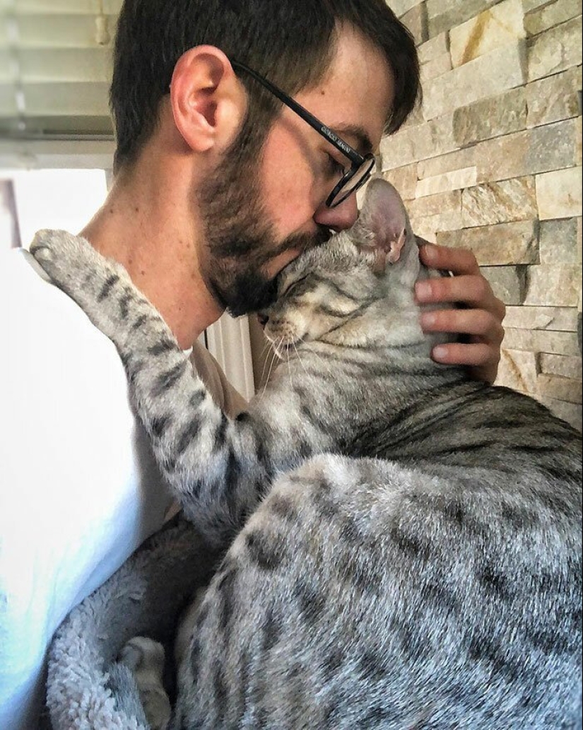 30 touching photos of men and cats