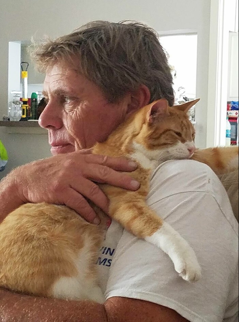 30 touching photos of men and cats