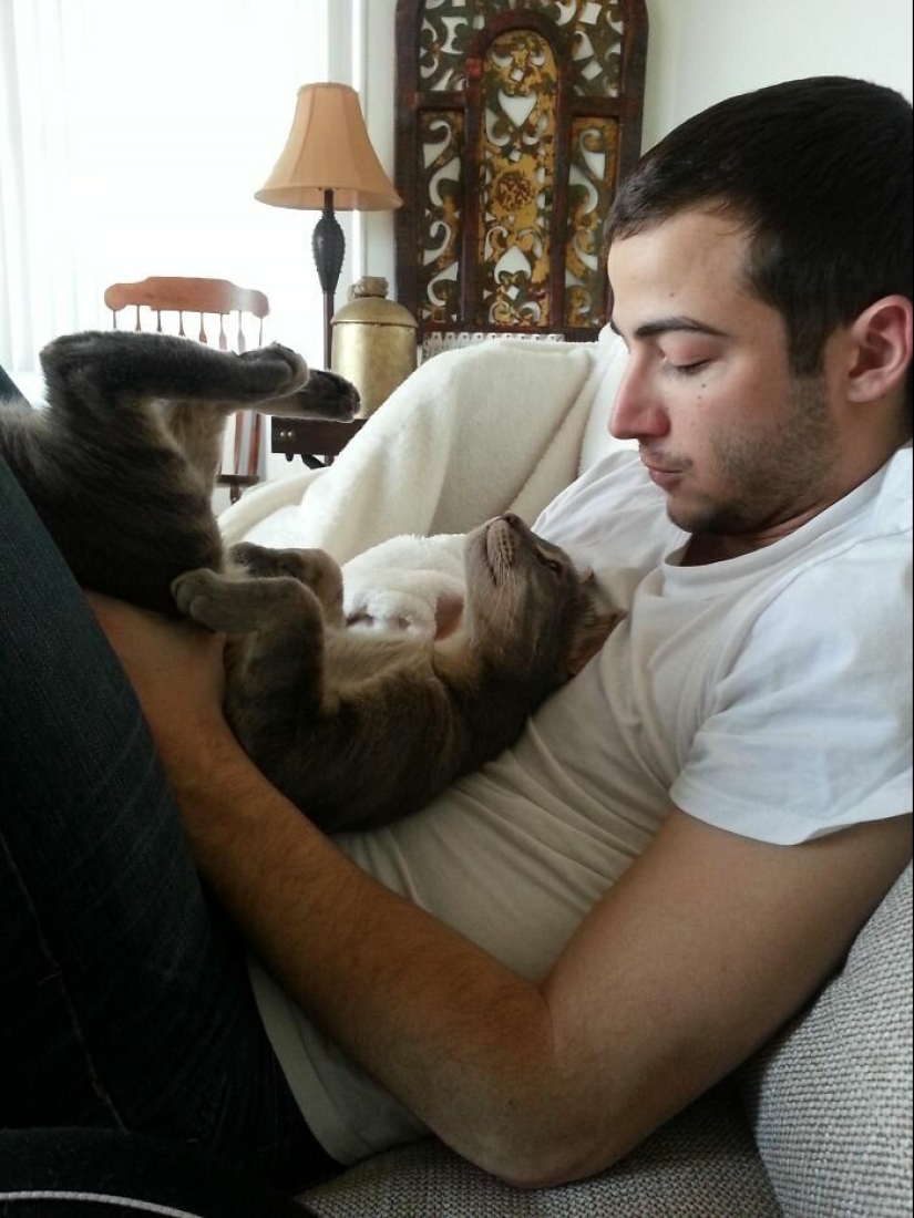 30 touching photos of men and cats