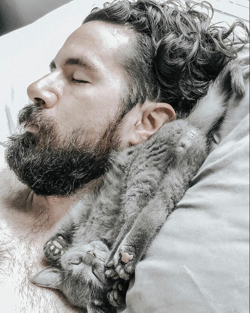 30 touching photos of men and cats