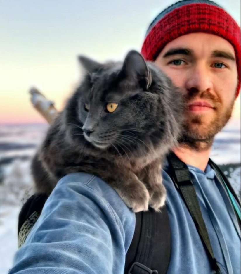 30 touching photos of men and cats