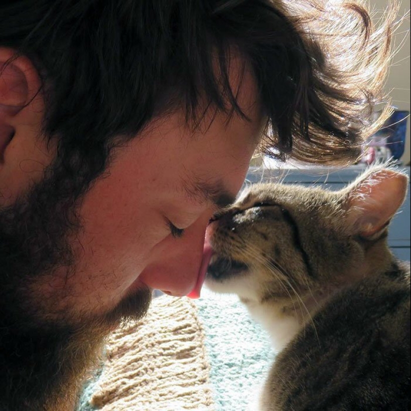 30 touching photos of men and cats