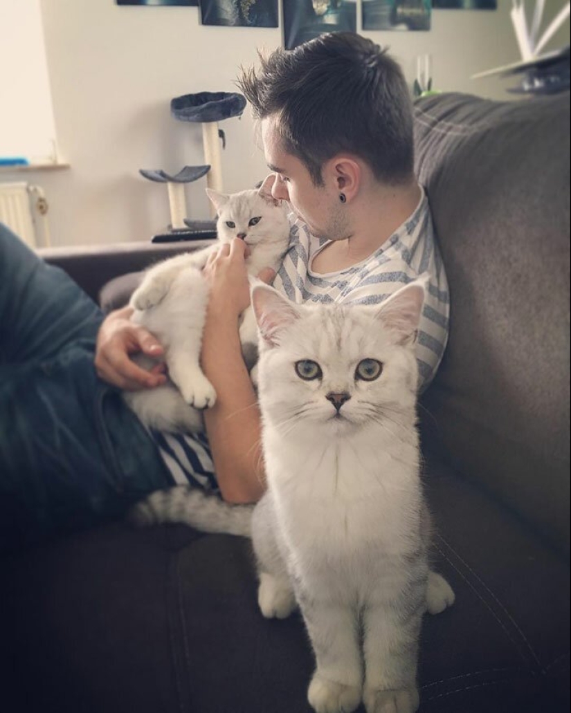 30 touching photos of men and cats