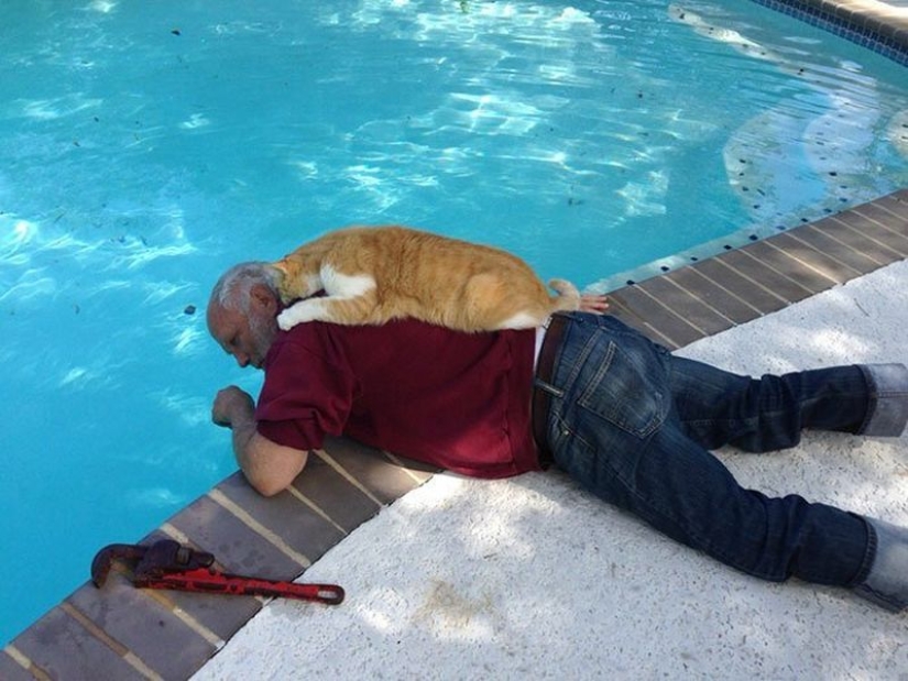 30 touching photos of men and cats