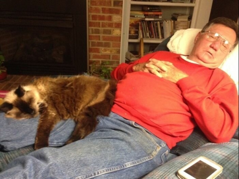 30 touching photos of men and cats