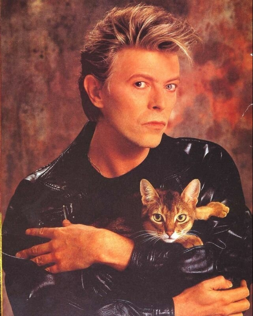 30 vintage photos of celebrities posing with their favorite cats