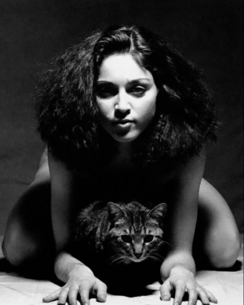 30 vintage photos of celebrities posing with their favorite cats