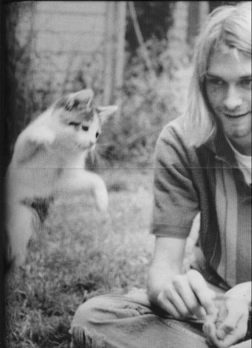 30 vintage photos of celebrities posing with their favorite cats