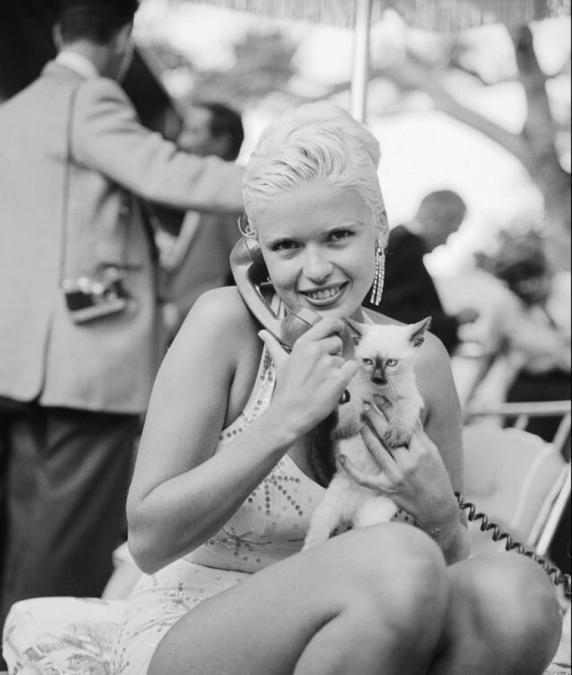 30 vintage photos of celebrities posing with their favorite cats