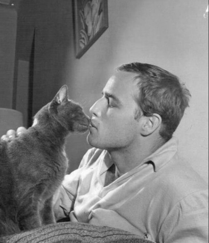 30 vintage photos of celebrities posing with their favorite cats