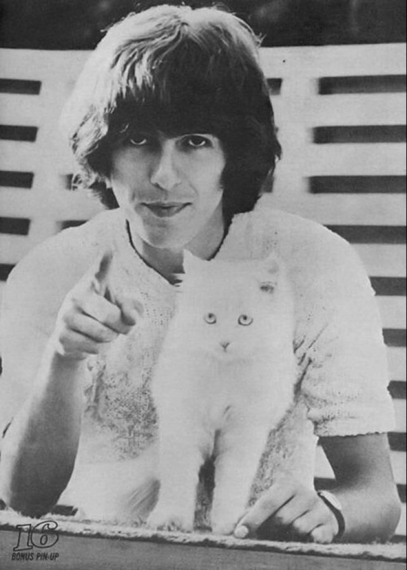 30 vintage photos of celebrities posing with their favorite cats