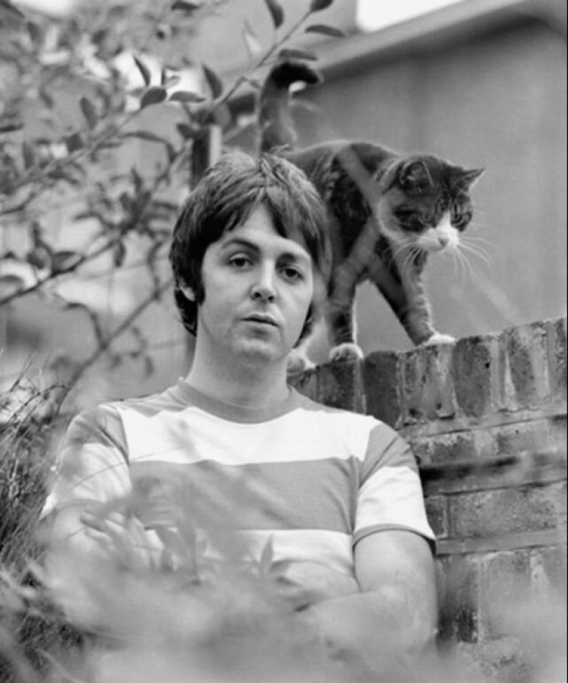 30 vintage photos of celebrities posing with their favorite cats