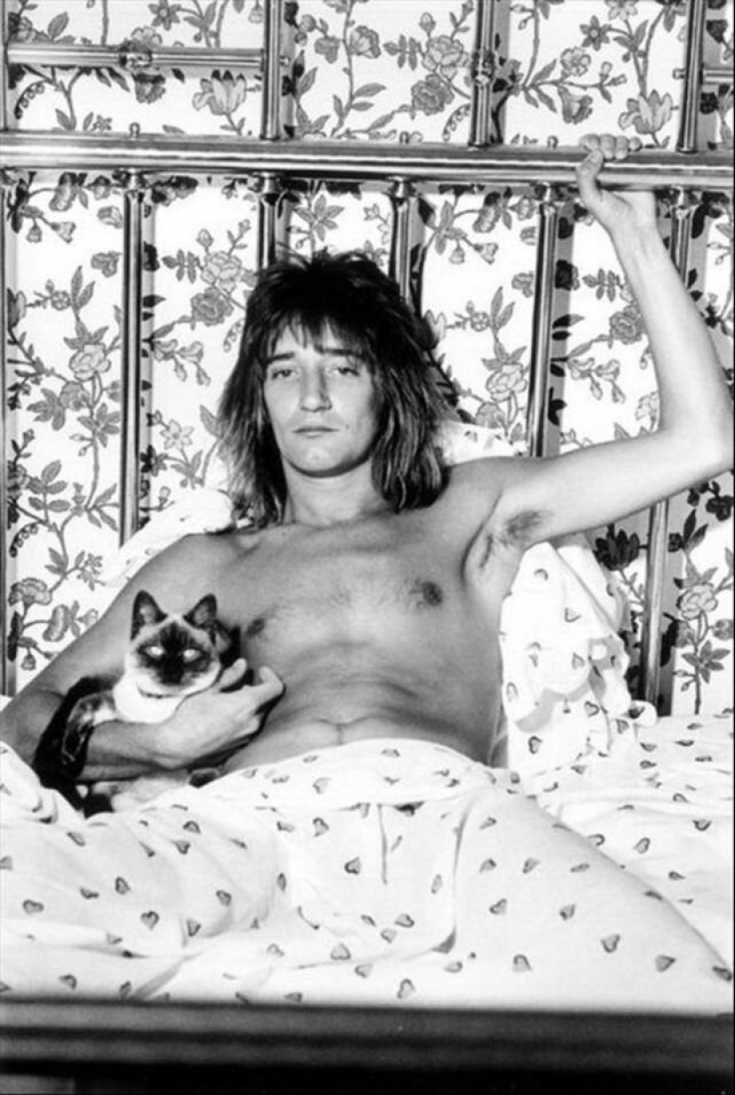 30 vintage photos of celebrities posing with their favorite cats