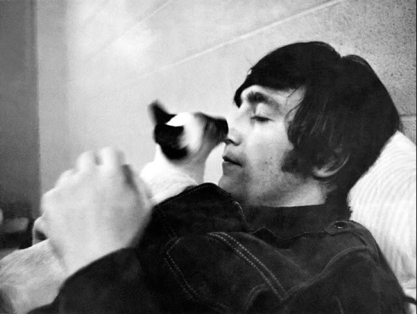 30 vintage photos of celebrities posing with their favorite cats