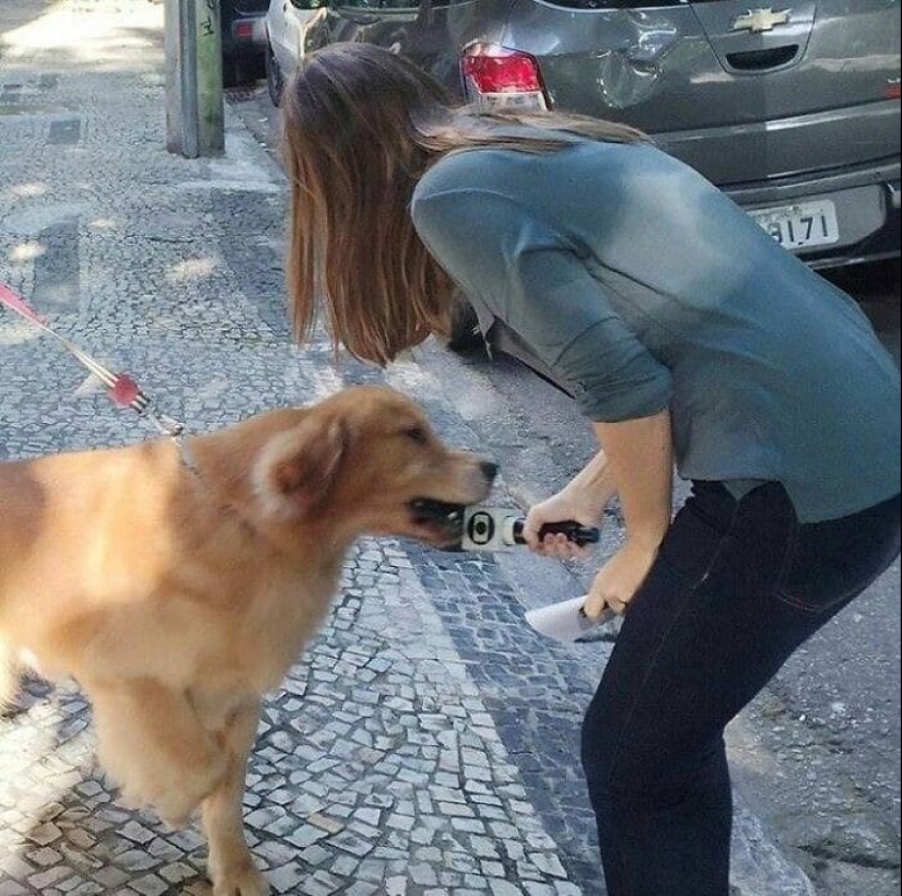 33 fotos de Brasil, un país maravilloso, donde hay un montón de monos