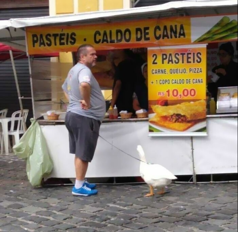 33 fotos de Brasil, un país maravilloso, donde hay un montón de monos