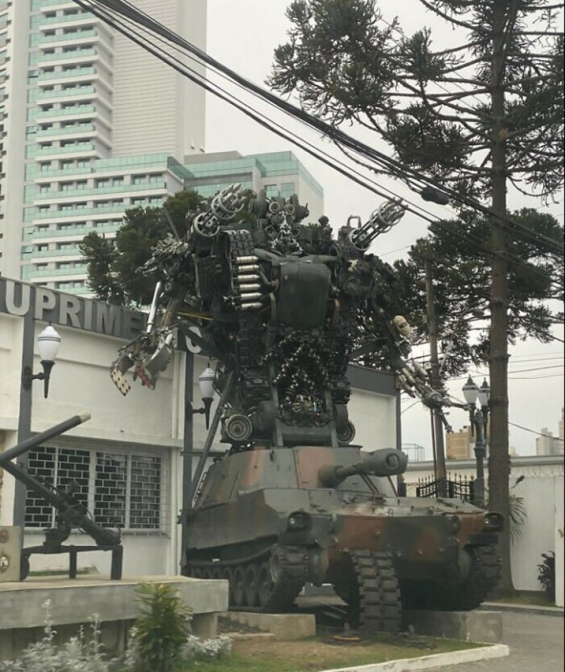 33 fotos de Brasil, un país maravilloso, donde hay un montón de monos