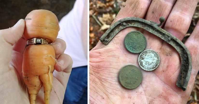 35 amazing finds that people have shared online