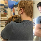 35 animals from shelters who were very lucky to meet "their" person