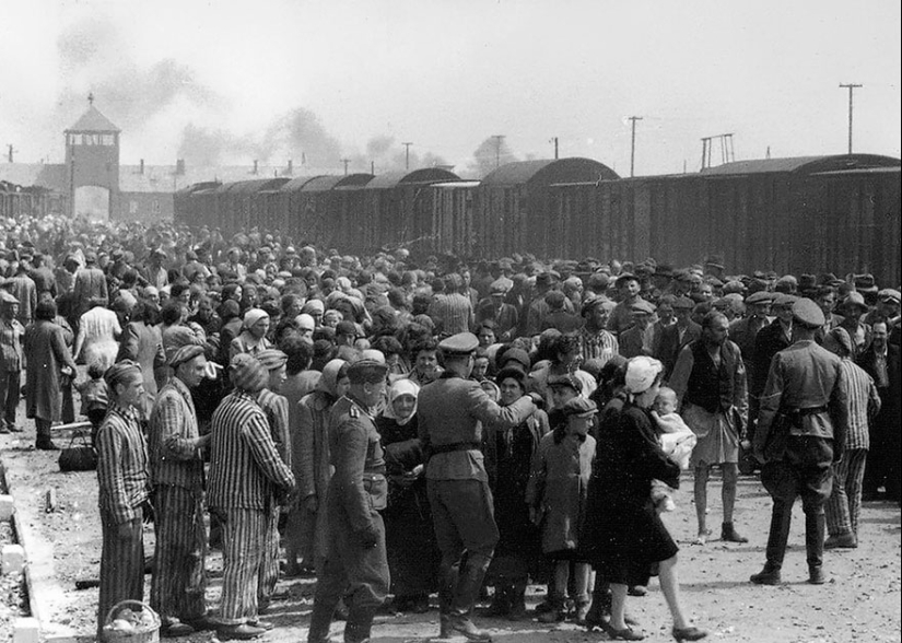 35 archival photos that captured rare historical moments