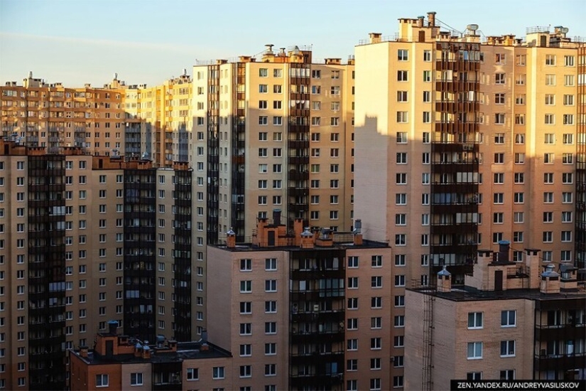 35 entrances, 3708 apartments: what does the giant man-maker look like in St. Petersburg