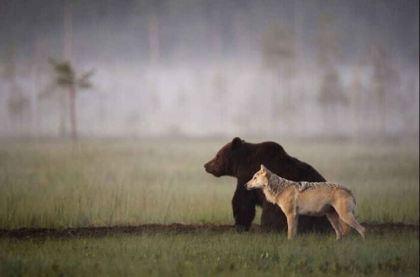 35 fascinantes fotos de la comunidad Reddit " Interesante como la mierda"