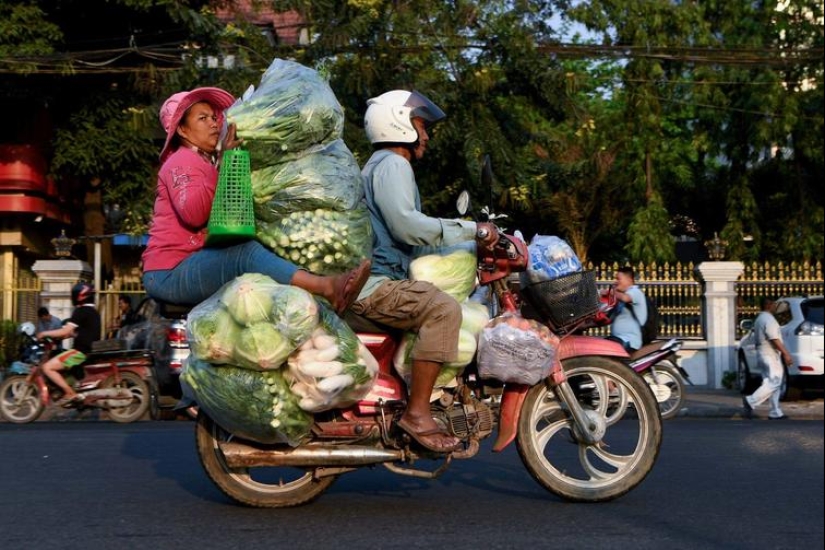 35 fotos divertidas y divertidas para que tu día sea un poco mejor