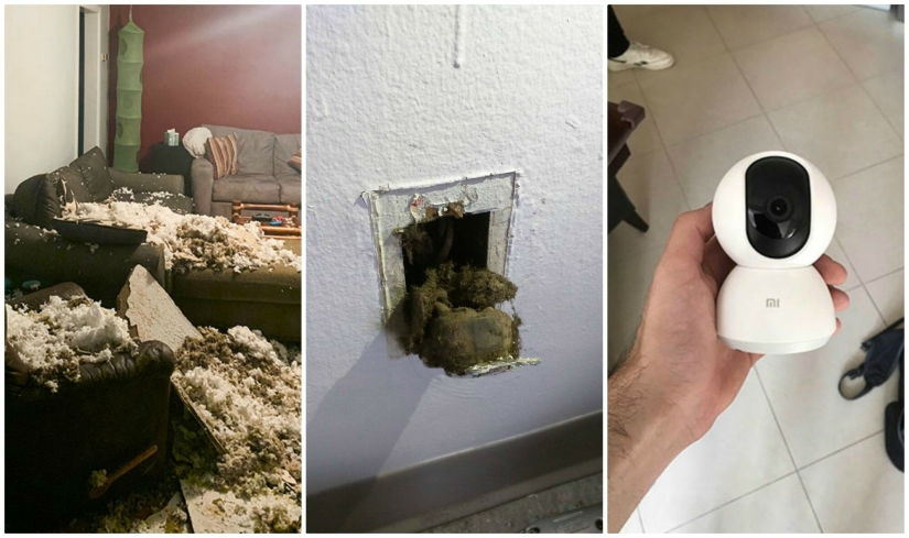 35 fotos sobre qué tipo de horror puedes encontrar en apartamentos alquilados